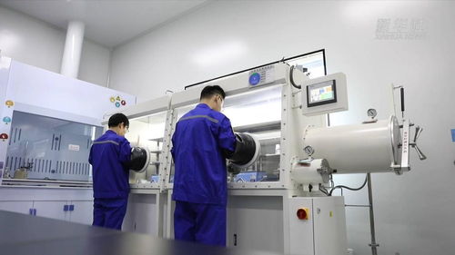 淄博科技向新引領(lǐng)產(chǎn)業(yè)向高 信息技術(shù)咨詢服務(wù)驅(qū)動企業(yè)轉(zhuǎn)型升級